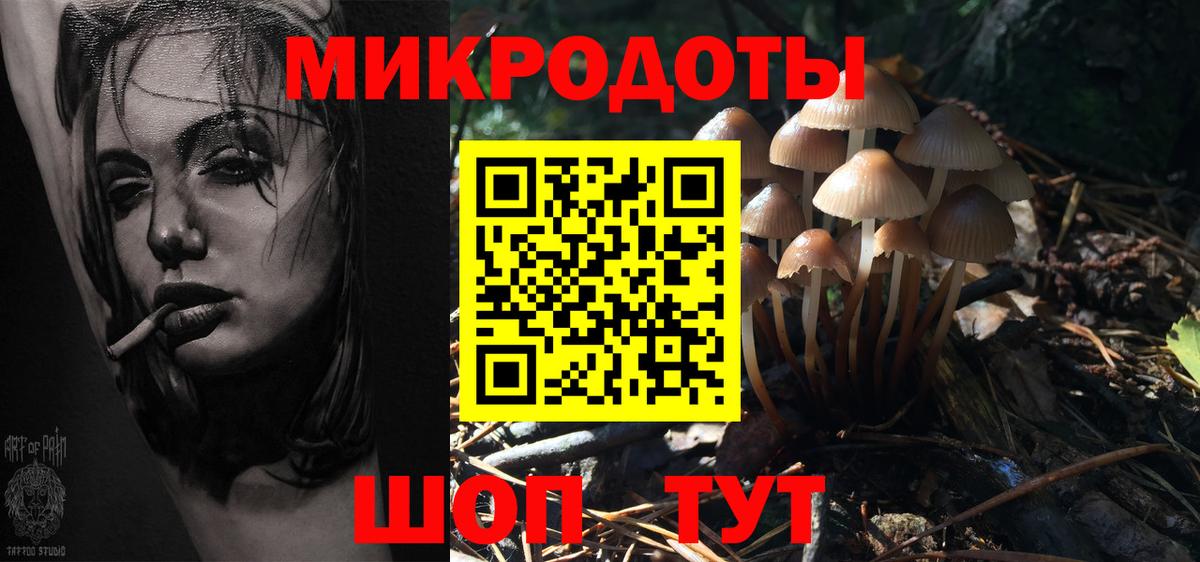 Псилоцибиновые грибы GOLDEN TEACHER  Галлюциногенные грибы GOLDEN TEACHER  купить наркоту  Невинномысск  Вход с VPN 